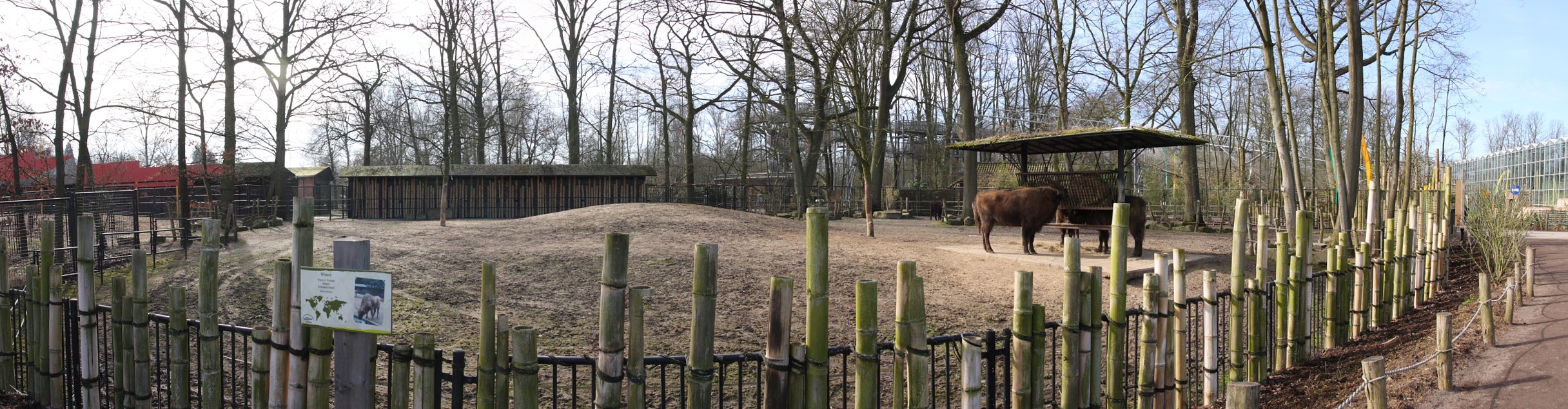 enclos bisonseurope.jpg - Enclos des bisons d'europe